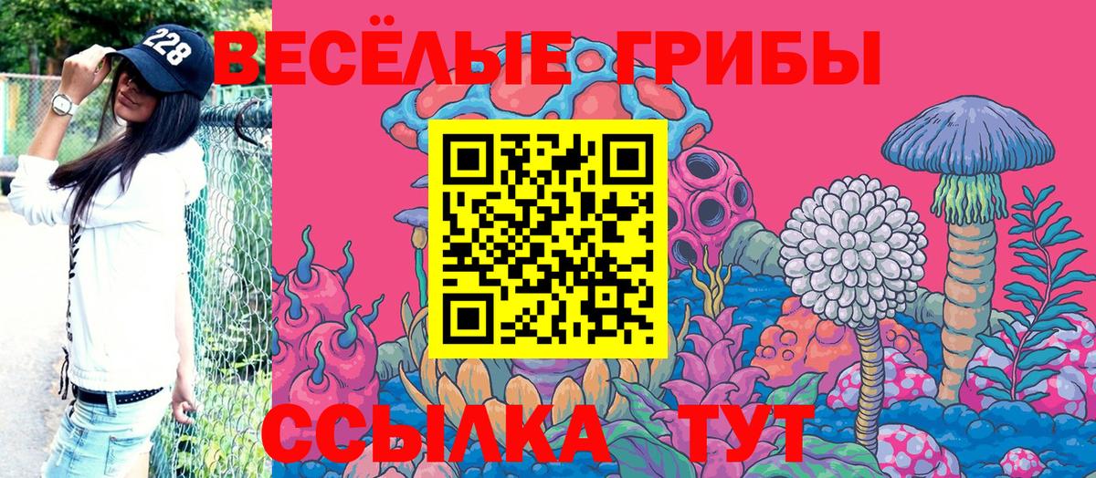 Усть-Илимск  Псилоцибиновые грибы MAGIC MUSHROOMS  Псилоцибиновые грибы мухоморы  Вход с VPN 